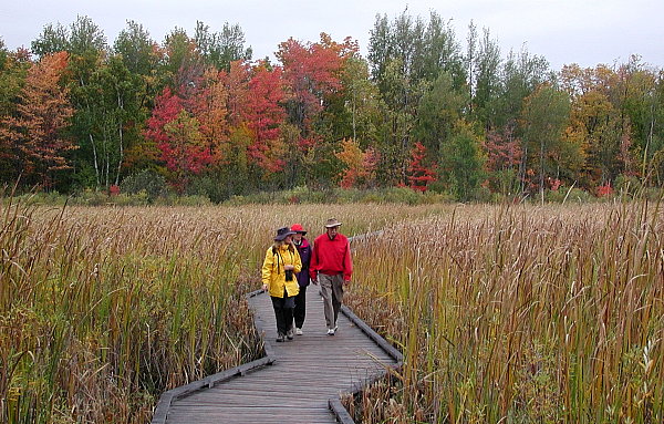 On the boardwalk over the bogland at Mer Bleue. Photo Eric Fletcher 